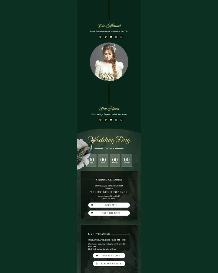 Preview tema Premium 05