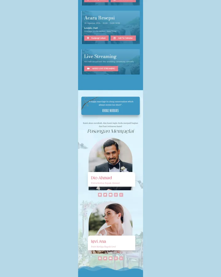 Preview tema Premium 11