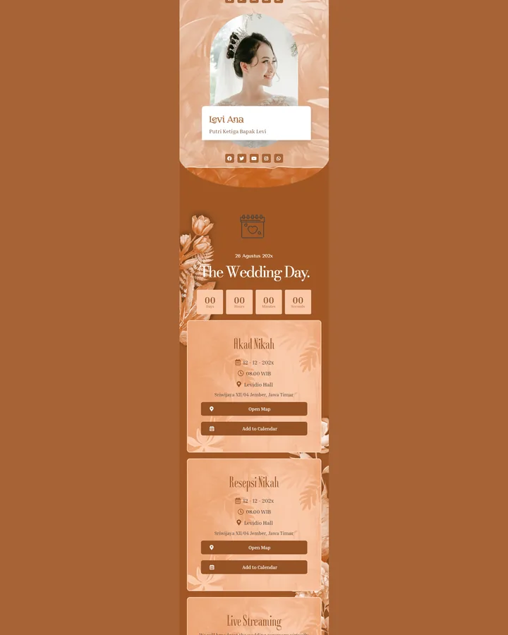 Preview tema Premium 12