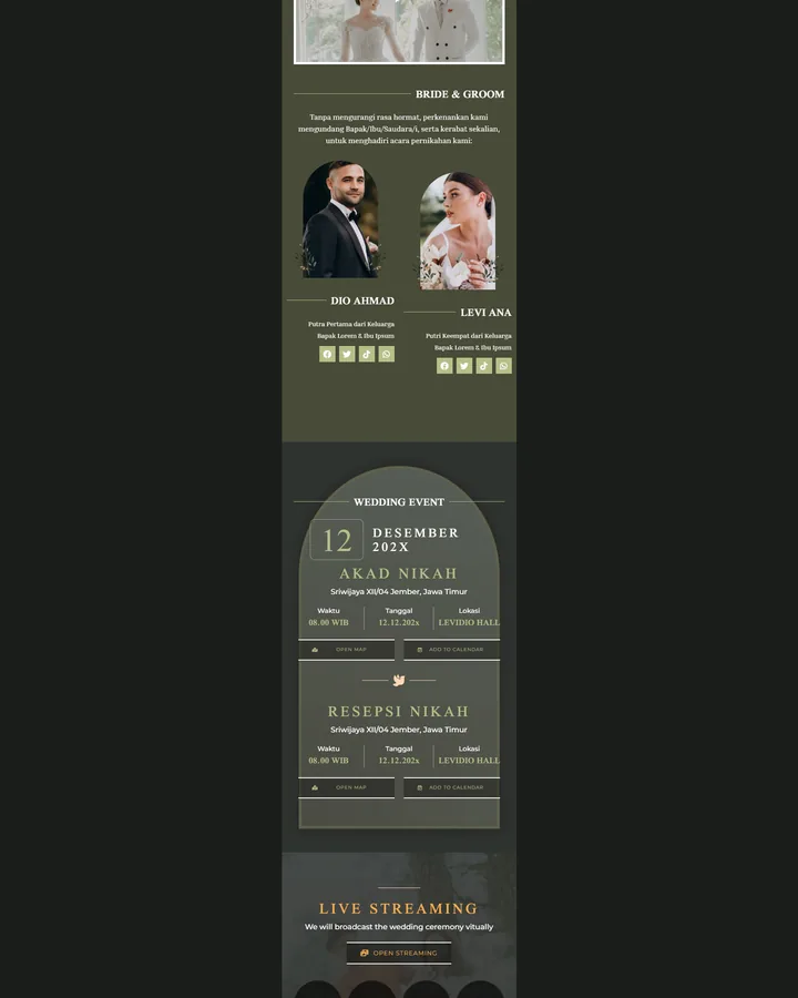 Preview tema Premium 16